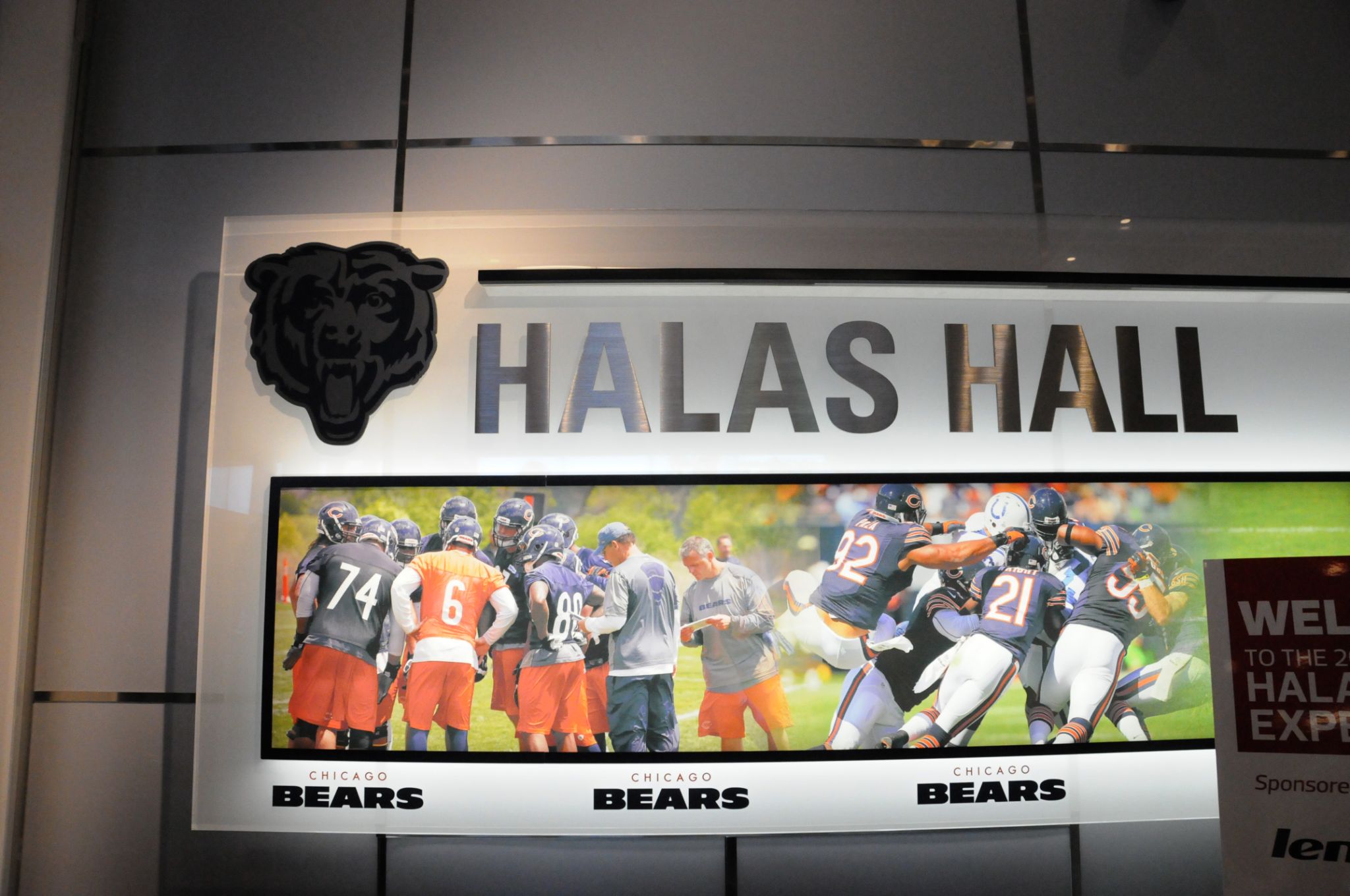 Halas 04